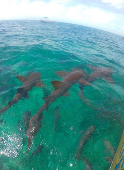 How I Booked A Round Trip Flight to Belize For Under $100