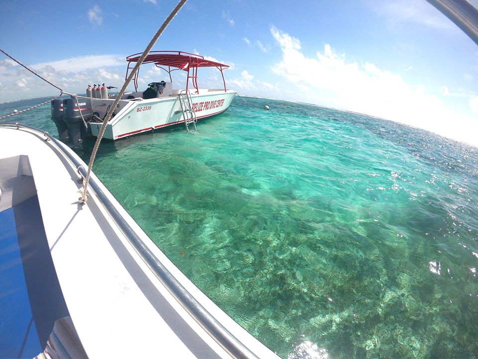 san pedro ambergris caye