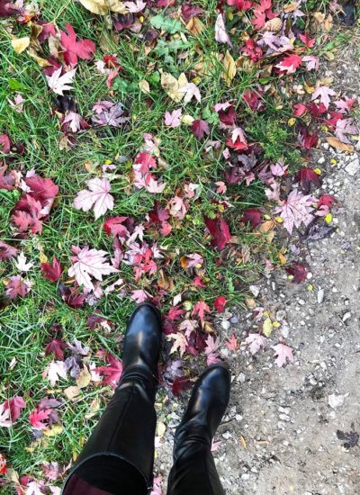 Things to Do in Chicago This November