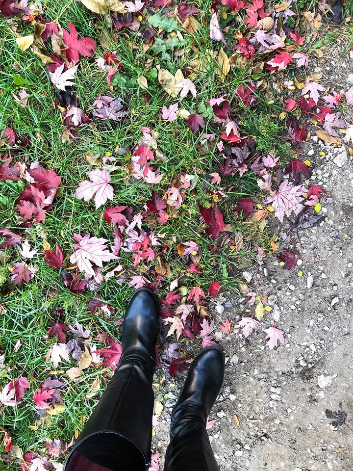 things to do in chicago this november