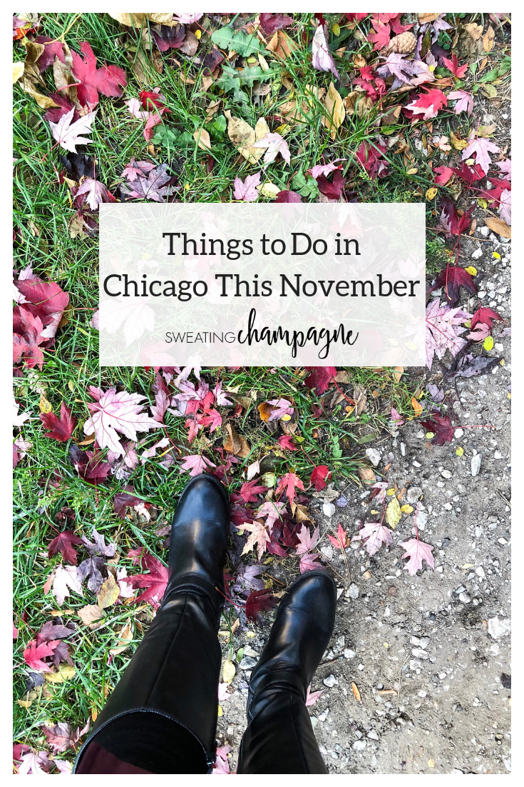 things to do in chicago this november