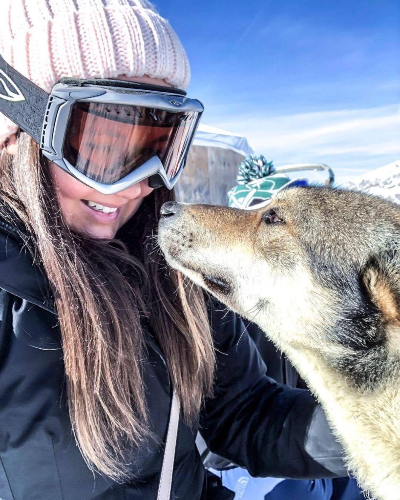 dog sledding steamboat springs grizzle-t dog & sled works