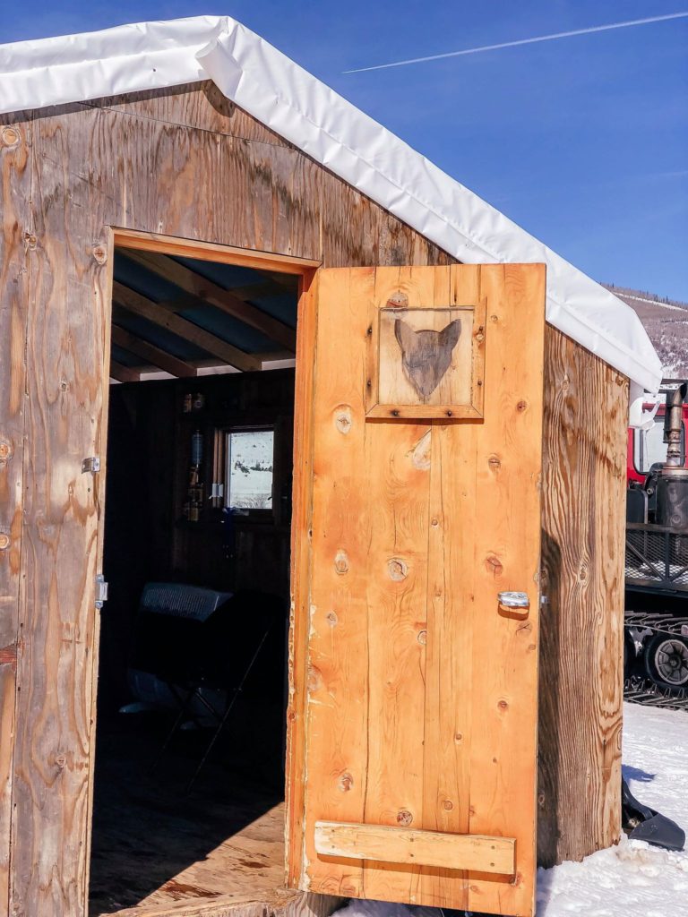 dog sledding steamboat springs grizzle-t dog & sled works