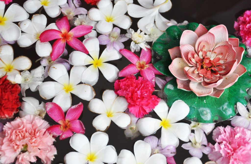 chicago spa week 2019