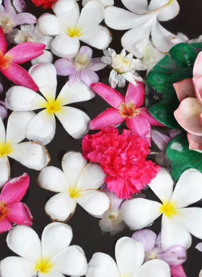Chicago Spa Week 2019