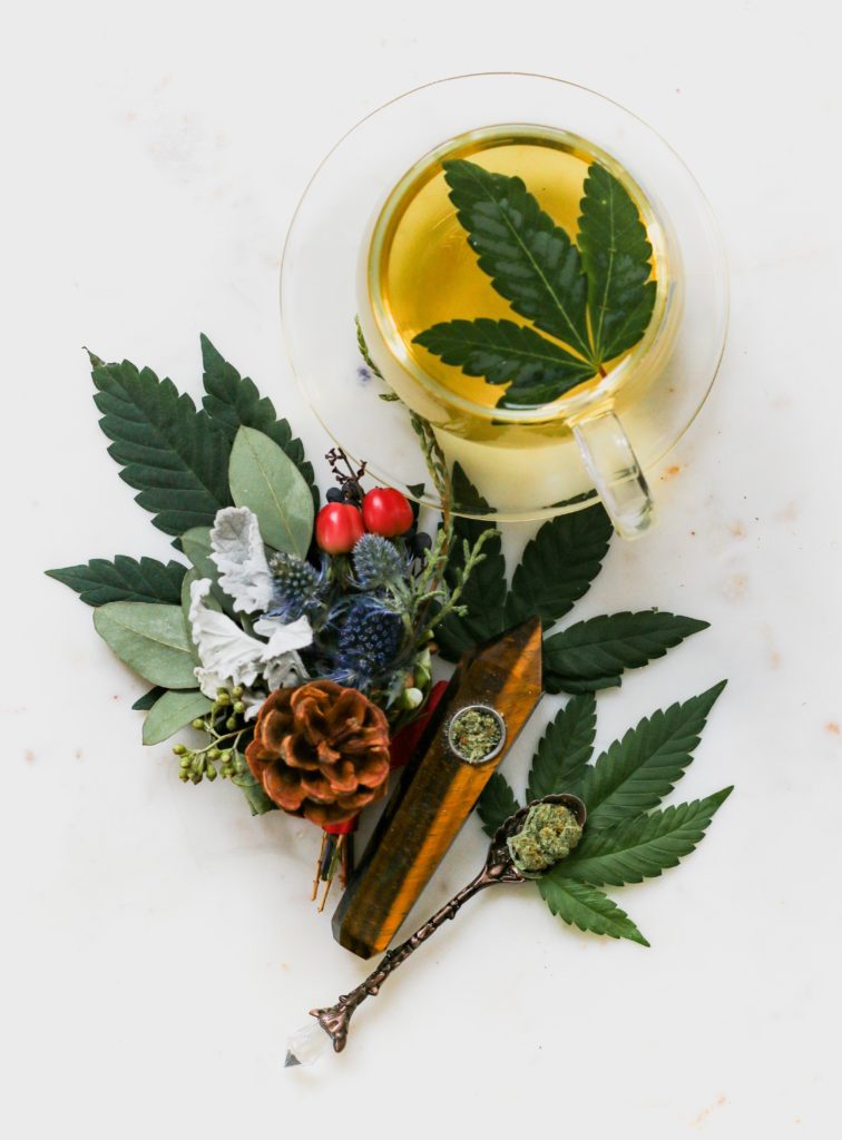 cbd oil beauty trend