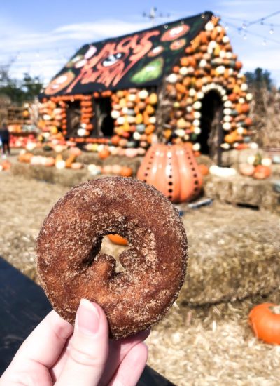 Things To Do In Chicago: Fall 2022
