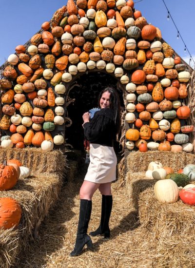 Jack’s Pumpkin Pop-Up 2021