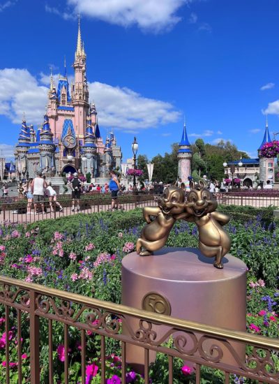Walt Disney World Travel Guide