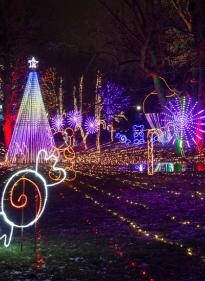 Things to Do in Chicago: Winter 2023